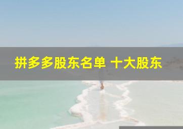 拼多多股东名单 十大股东